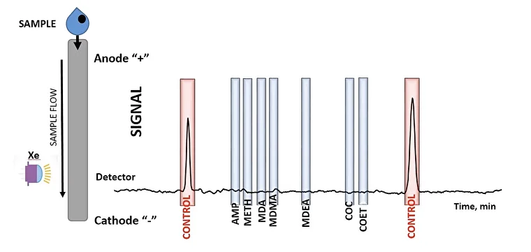 Negative_JPG.png (1)