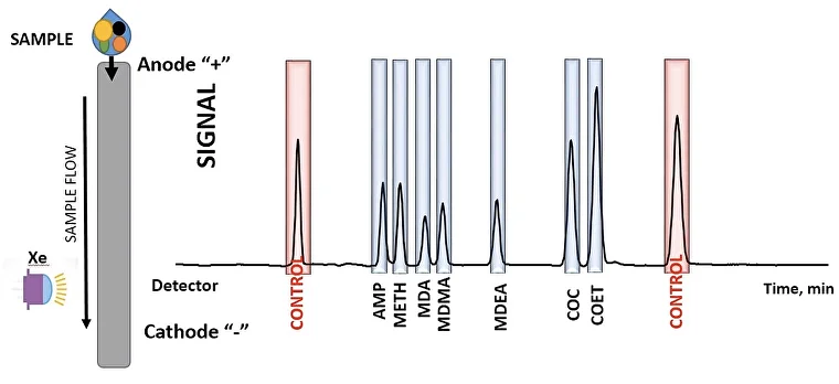 Positive_JPG-2.png (1)